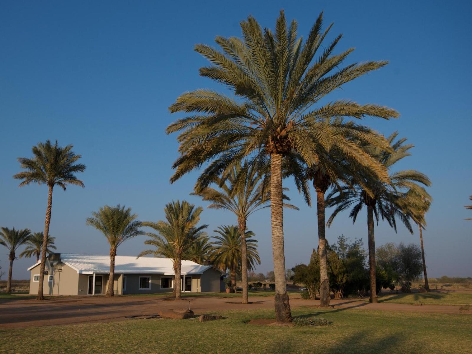 Flying Ostrich Guesthouse & Self-Catering Accommodation Mariental Εξωτερικό φωτογραφία